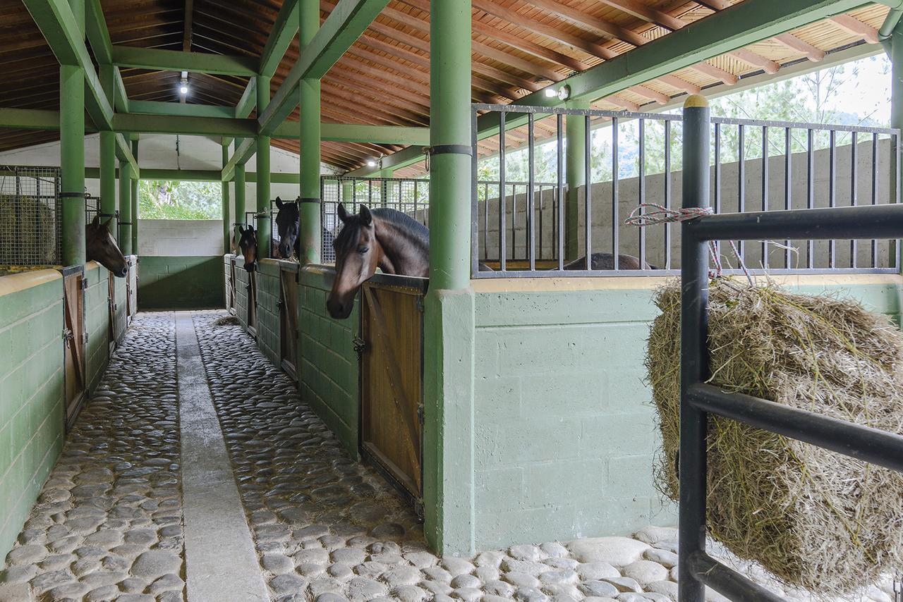 Finca Boutique El Diamante Salgar  ภายนอก รูปภาพ
