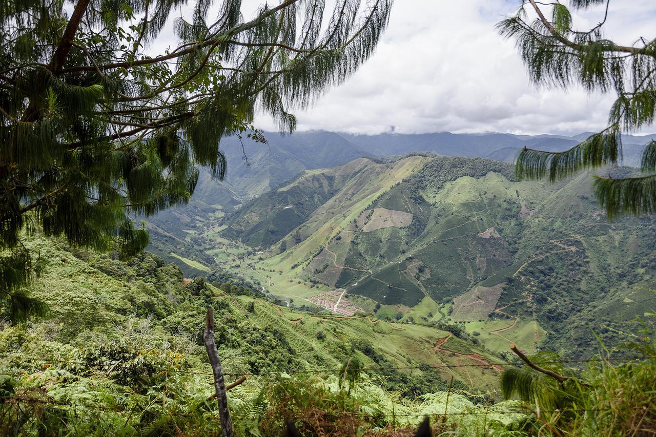 Finca Boutique El Diamante Salgar  ภายนอก รูปภาพ