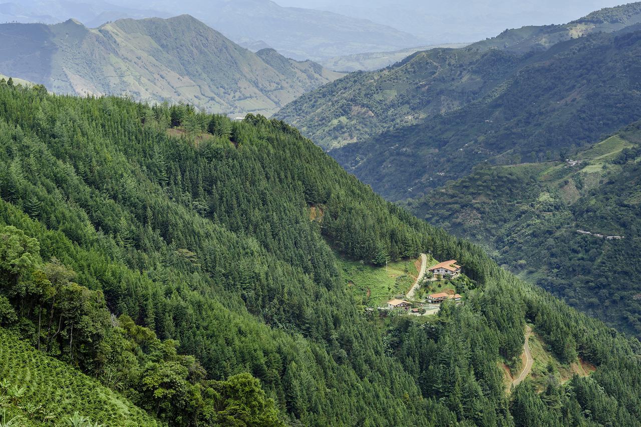 Finca Boutique El Diamante Salgar  ภายนอก รูปภาพ