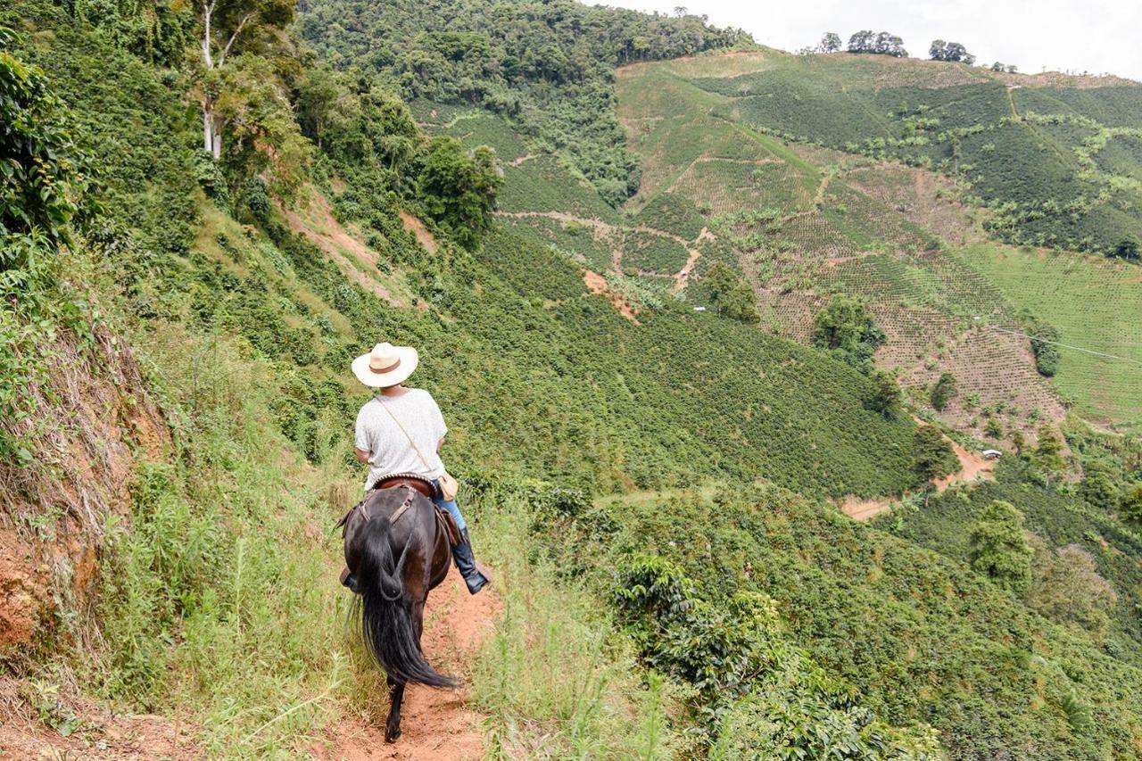 Finca Boutique El Diamante Salgar  ภายนอก รูปภาพ